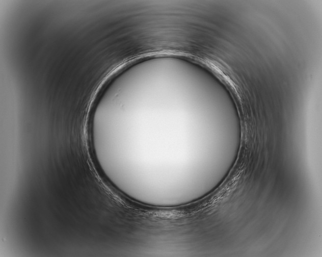 X0000095931189200802081210