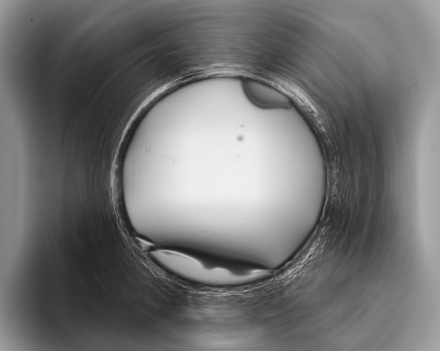 X0000095931190200802081210