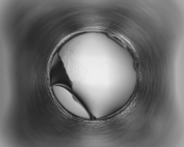 X0000095931192200802081210