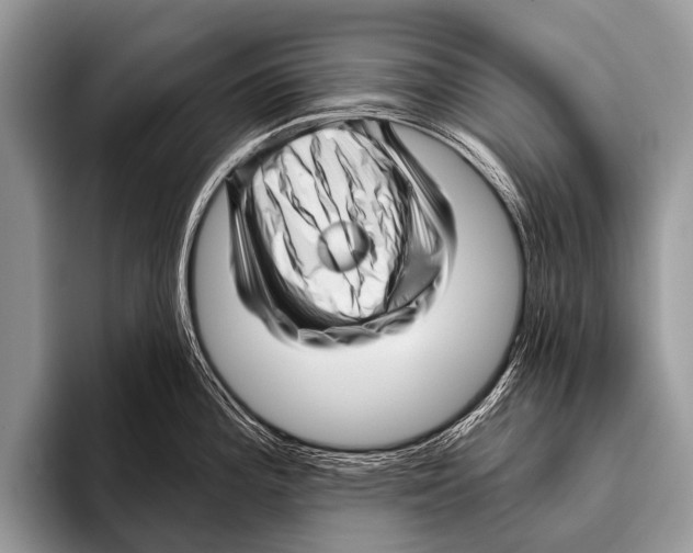 X0000095931196200802081210