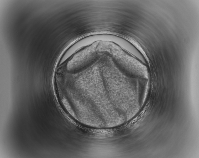 X0000095931197200802081210