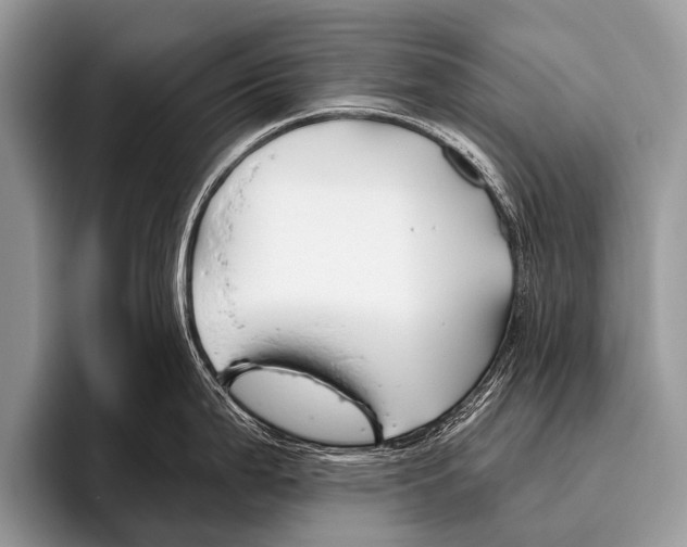 X0000095931199200802081210