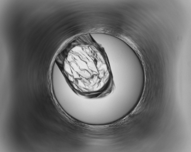 X0000095931200200802081210