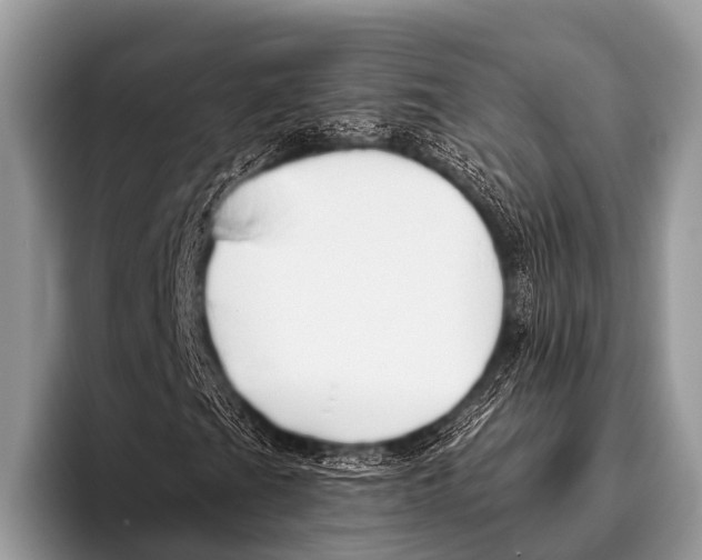 X0000095931201200802081209
