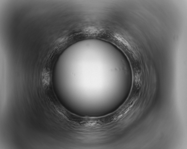 X0000095931204200802081210
