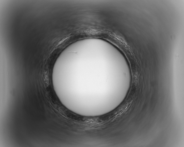 X0000095931205200802081210