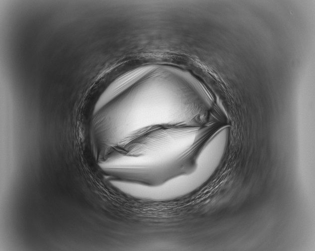 X0000095931206200802081210