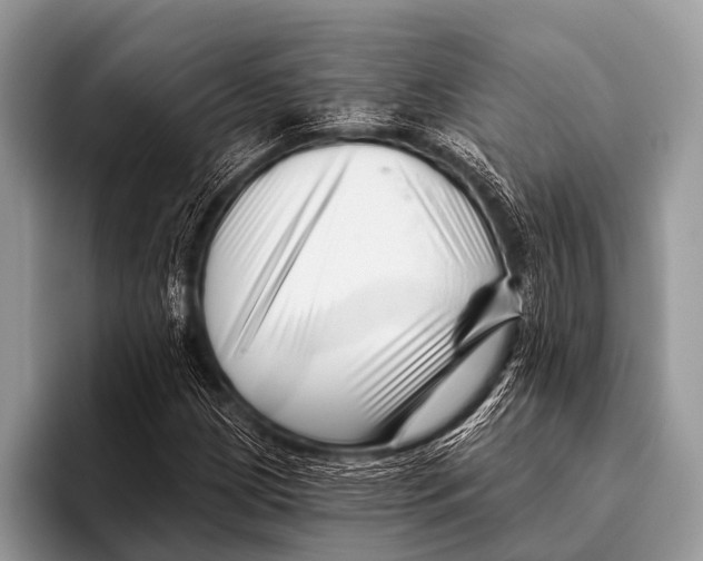 X0000095931209200802081210