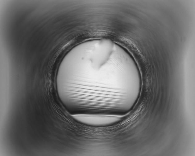 X0000095931210200802081210