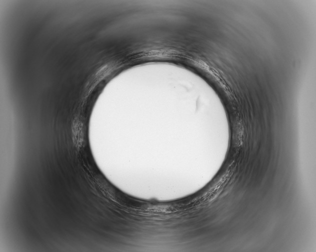 X0000095931211200802081210
