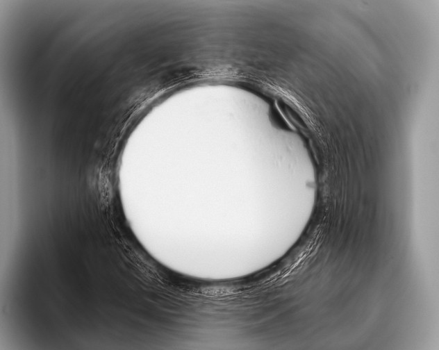X0000095931212200802081210