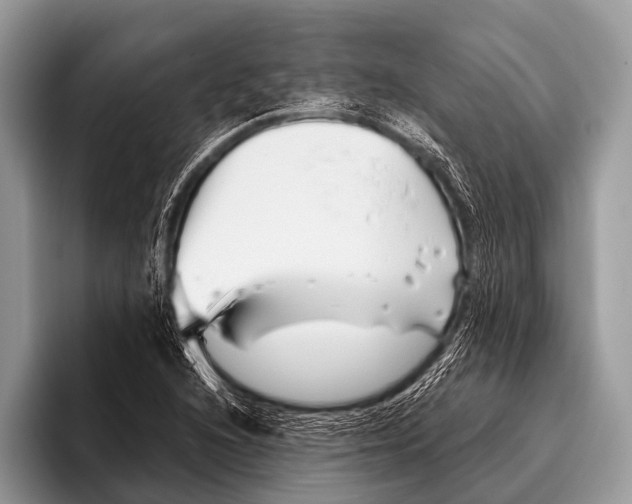 X0000095931216200802081210