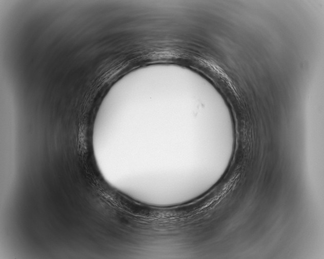 X0000095931217200802081210