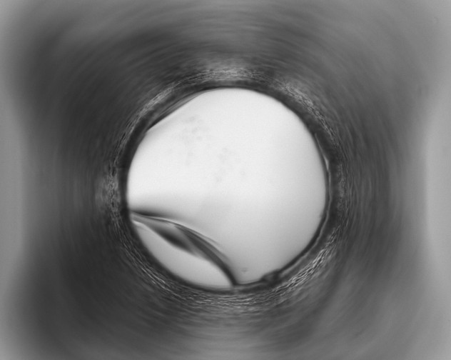 X0000095931218200802081210