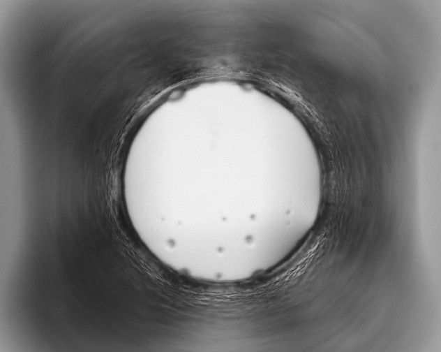 X0000095931220200802081210