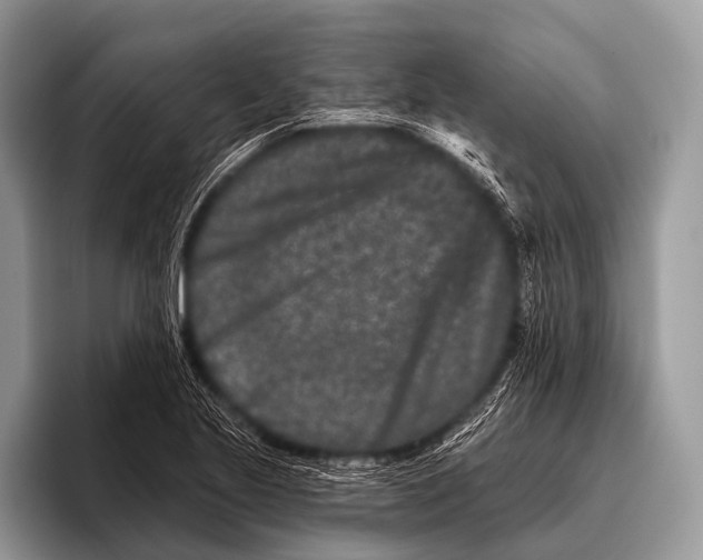 X0000095931221200802081210