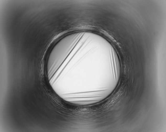 X0000095931222200802081210