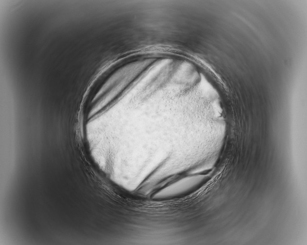 X0000095931224200802081210