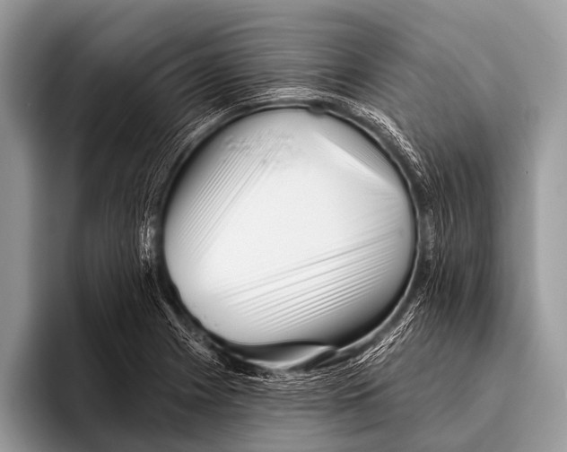 X0000095931225200802081210