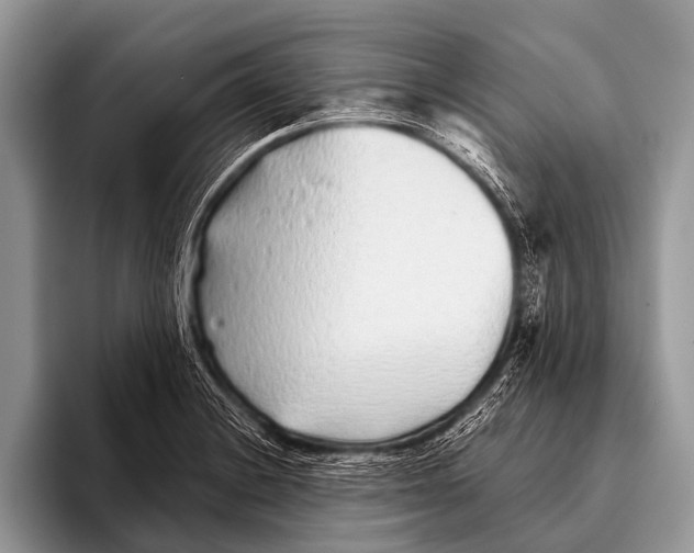 X0000095931228200802081210