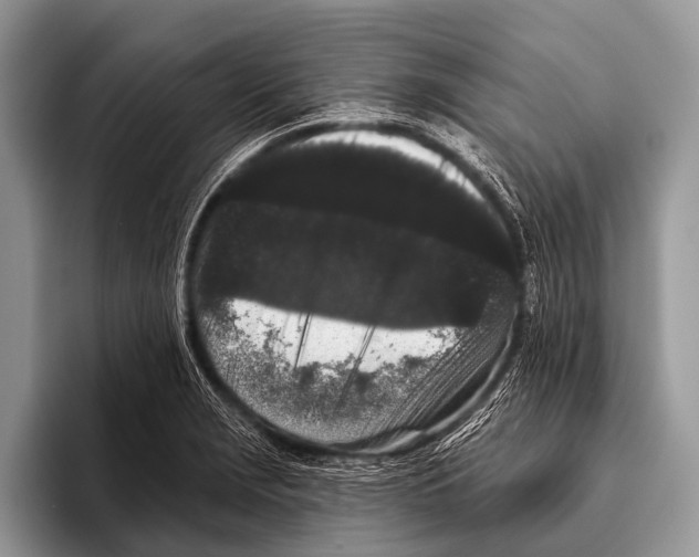 X0000095931229200802081210