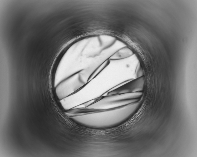 X0000095931230200802081210