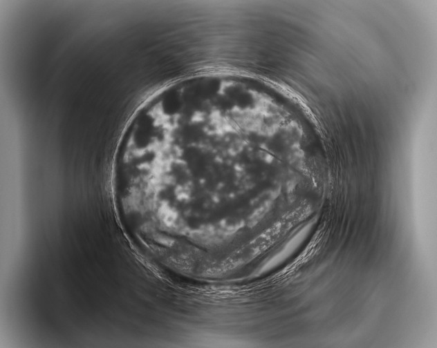 X0000095931231200802081210