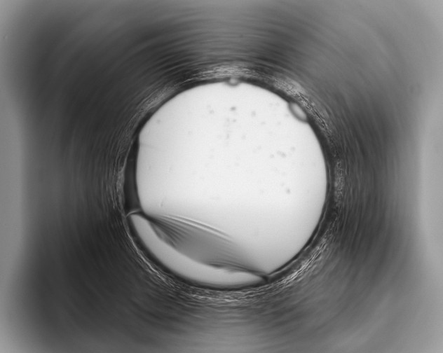 X0000095931233200802081210