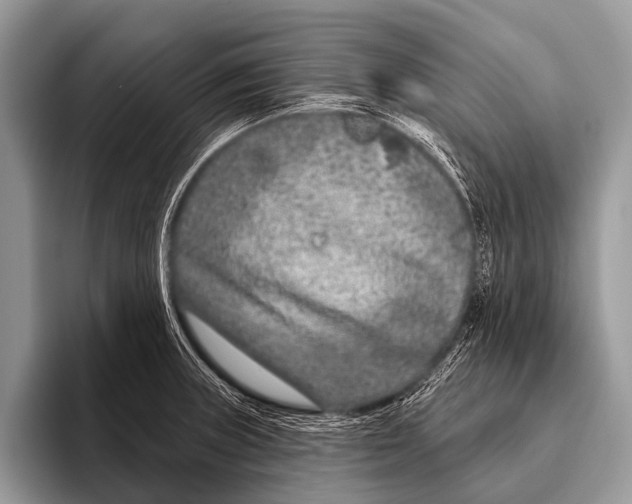 X0000095931235200802081210