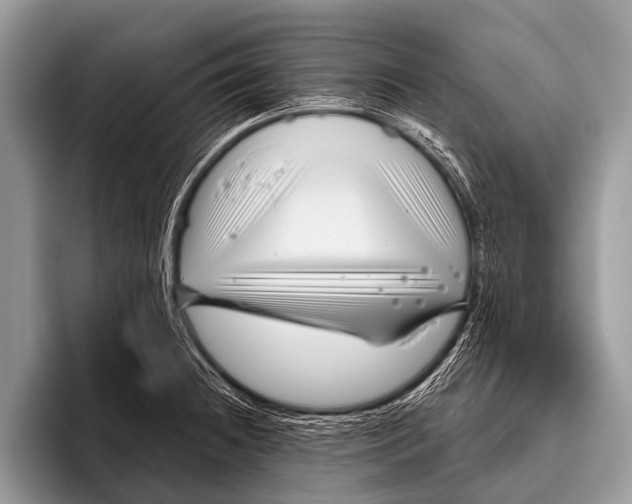 X0000095931236200802081210