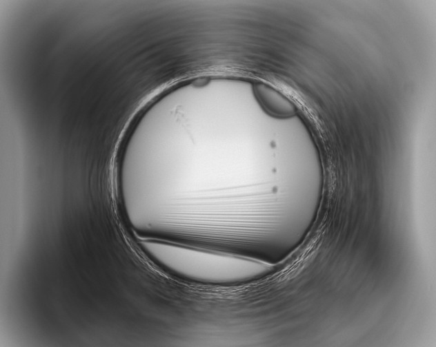 X0000095931238200802081210