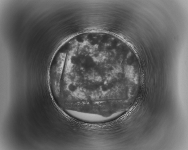 X0000095931239200802081210