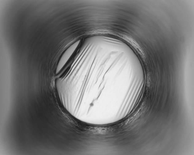 X0000095931241200802081210
