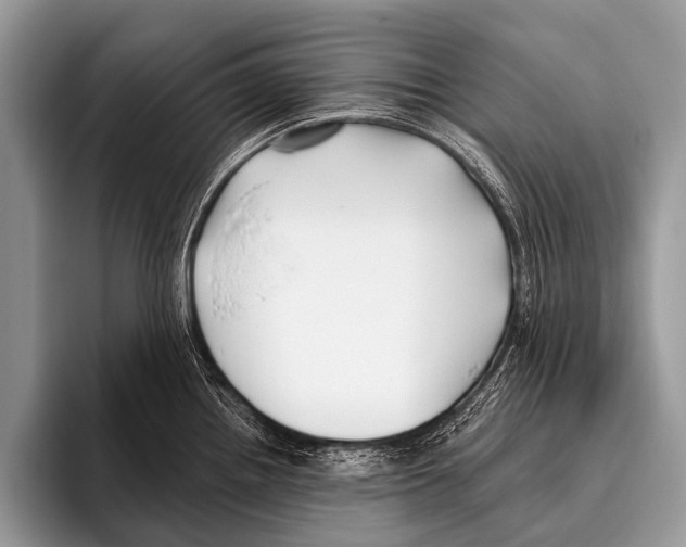 X0000095931242200802081210