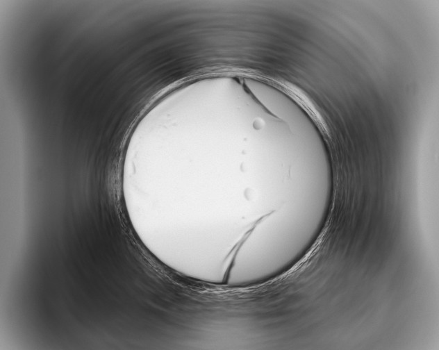 X0000095931244200802081210