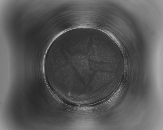 X0000095931246200802081210