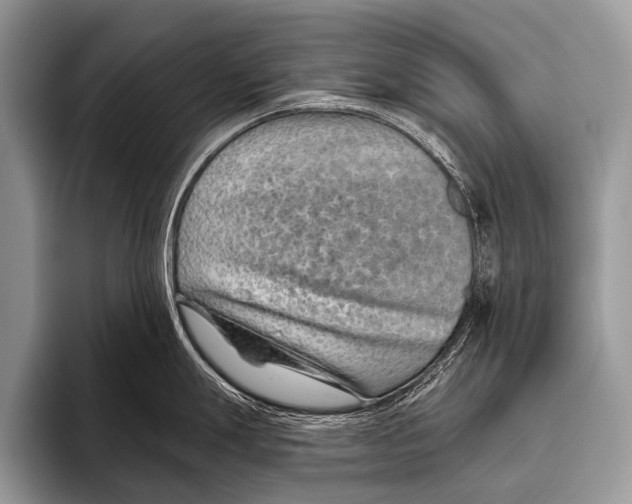 X0000095931247200802081210