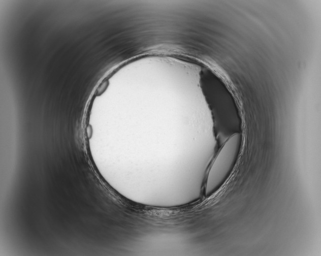X0000095931248200802081210