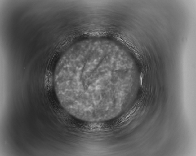 X0000095931251200802081209