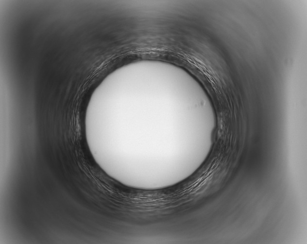 X0000095931252200802081209