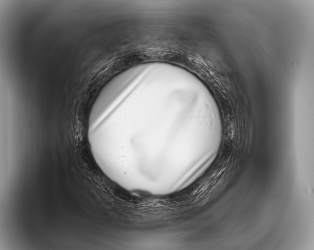 X0000095931253200802081209