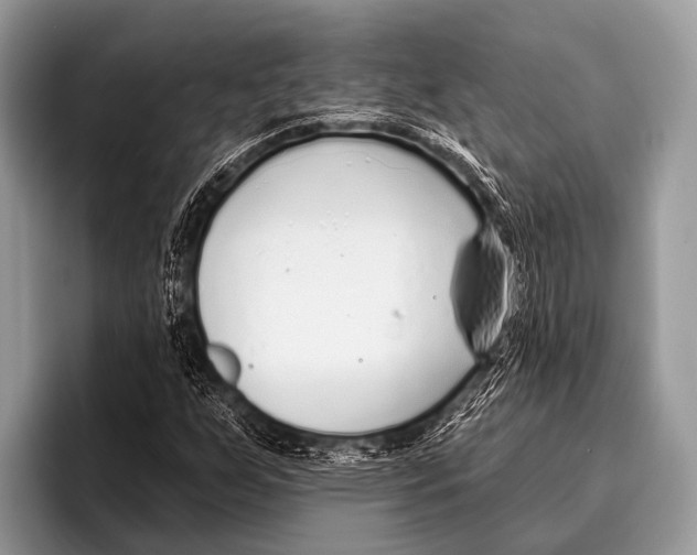 X0000095931255200802081209