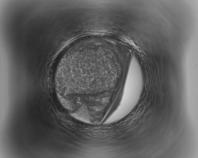 X0000095931256200802081209