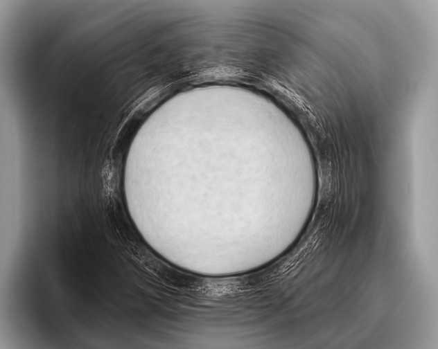 X0000095931258200802081209