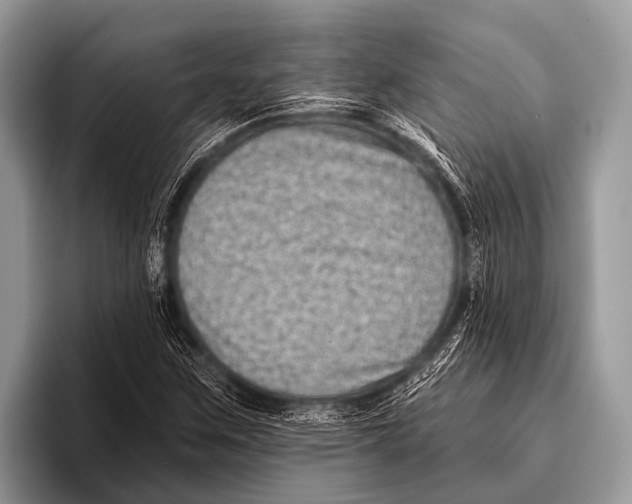 X0000095931259200802081209