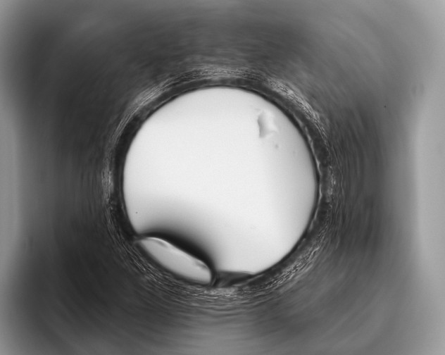 X0000095931261200802081209
