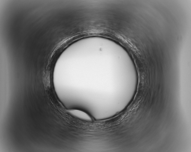 X0000095931262200802081209