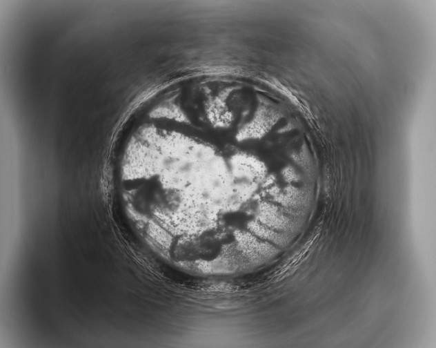 X0000095931263200802081209