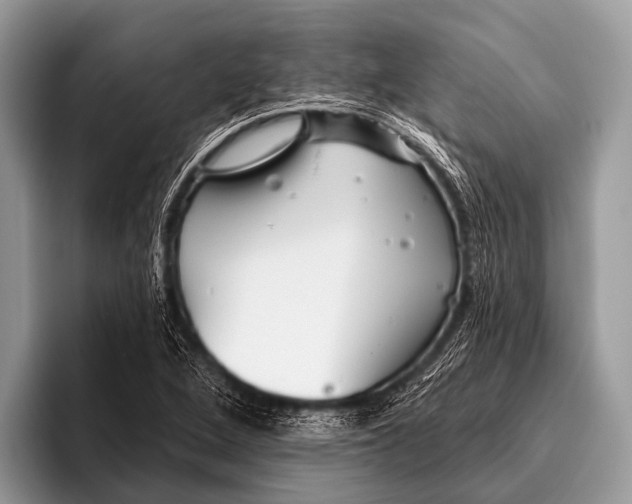 X0000095931264200802081209
