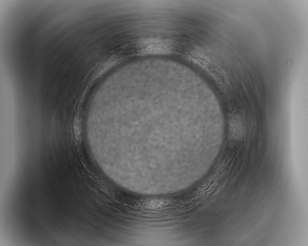 X0000095931266200802081209